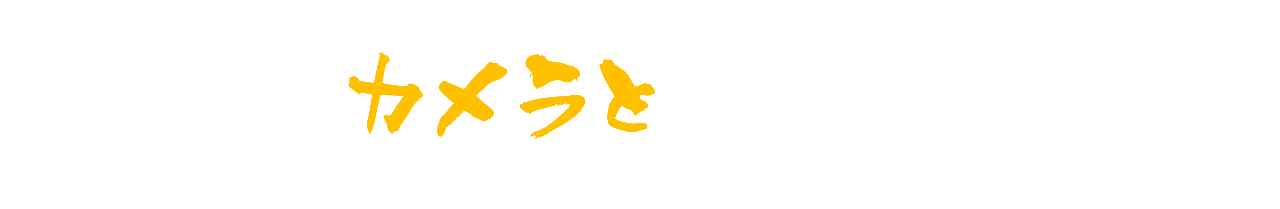 今日もカメラと生きちゃった。